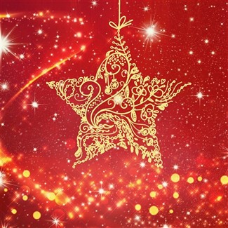 Texas Treasures - Holiday Mystery Tour