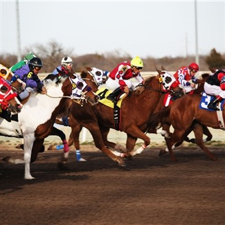 Amazon Warehouse-Buc-ee's-Turf Paradise Race Track