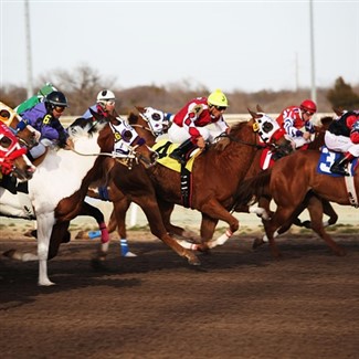 Turf Paradise Horse Racing w/Lunch