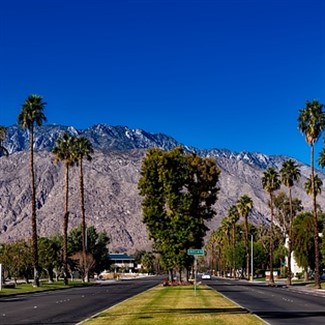Palm Springs Getaway 2024