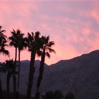 Southern California Icons