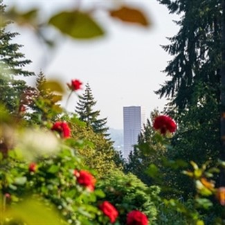 Oregon's Roses, Waves & Wine