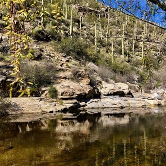Sabino Canyon & DeGrazia Gallery