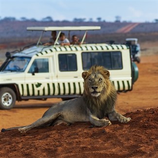 Kenya & Tanzania Classic Safari w/Tauck Tours