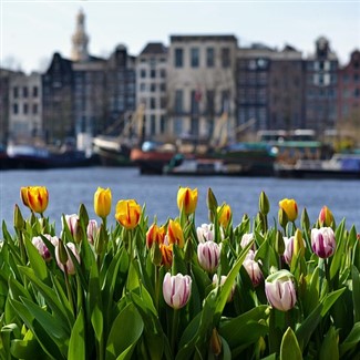 Belguim-Luxembourg-Netherlands EE Land Tour