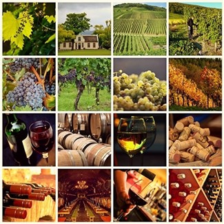 Temecula Wine & Flower Fields 2026