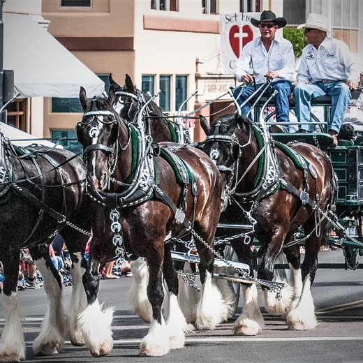 Prescott Rough Riders Parade & Fall Festival