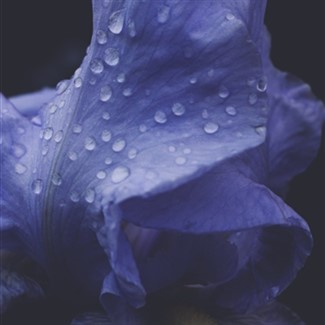 Free Spirit Tours Available in April