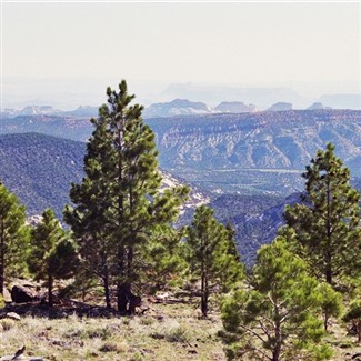 Grand Canyon-South Rim